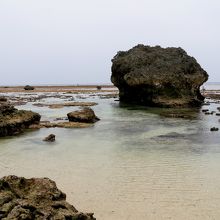 引き潮の浜辺