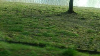 美しい水辺です