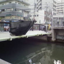 海老川の船橋