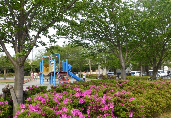 大津公園 クチコミ・アクセス・営業時間｜横須賀【フォートラベル】