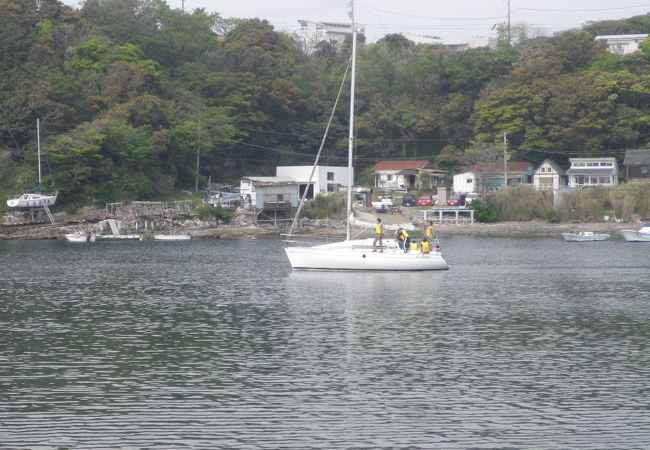 諸磯湾 クチコミ・アクセス・営業時間|三浦海岸・三崎【フォー 諸磯湾 クチコミ・アクセス・営業時間|三浦海岸・三崎【フォー