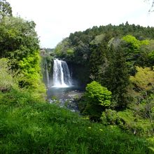 甲斐犬注意の看板が近くにあるひっそりビューポイント。