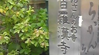 目黒の五百羅漢