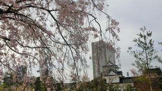 広々と、ゆったりしたいい庭園だ