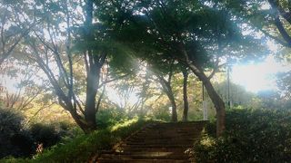 西新宿のオアシススポット