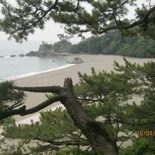 桂浜です。奥に竜王岬が見れます。