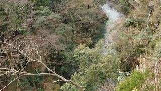 マイナスイオンを全身で感じた。