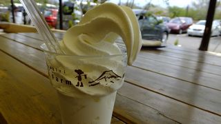 入場しなくてもソフトクリームが楽しめる