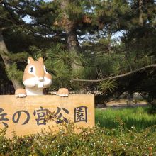 浜の宮公園で撮影