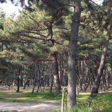 浜の宮公園で撮影