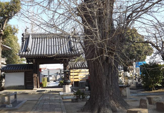 私の町・加古川と周辺　part5　(2)　 称名寺（しょうみょうじ）、由緒正しいお寺です