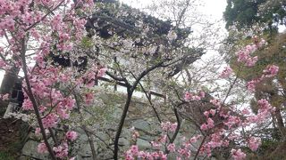 明智光秀公ゆかりのお寺!!