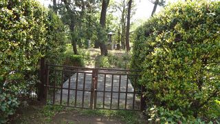 かわいらしい公園です