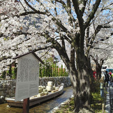 美しいです！！