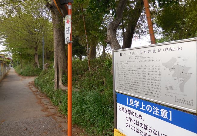 国史跡下総小金中野牧跡(野馬土手) クチコミ・アクセス・営業