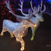 飾り付けられた小物も綺麗なイルミネーション