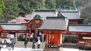 桜がとってもきれいだった