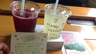 癒しのリゾート特急