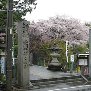 桜咲く