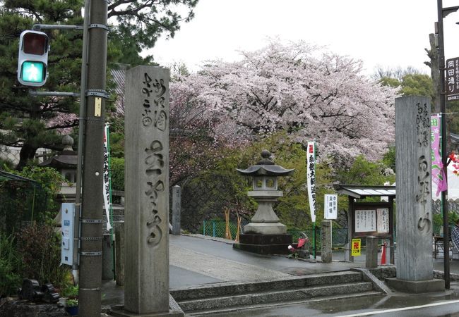 桜咲く