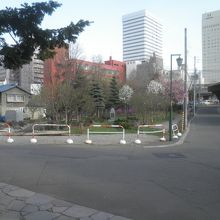 公園