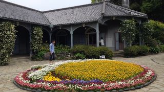 高台からの気持ちの良い眺め、きれいなお花