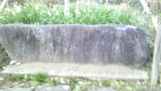 まだ寒かったですが