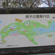 桜を見るにはやや物足りなさを感じる公園ですが，散策するには良いところだと思います．