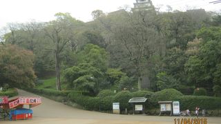 丸亀城の内堀内が公園です。