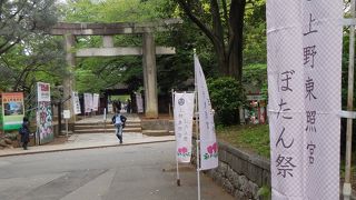 琴で奏でられた曲が日本的な雰囲気を盛り上げていました