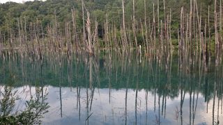 お天気によって、全然違う