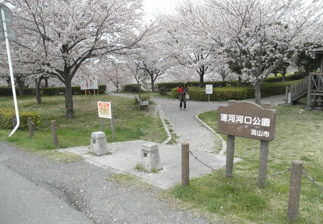 利根運河と江戸川の合流地点にありサイクリングや散策途中で休憩するのにちょうどいい公園です