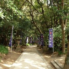 鳥居をくぐって参道を進む。新緑が美しい