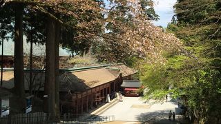 比叡山全域を境内とする寺院。