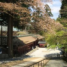 比叡山と言えば、延暦寺