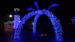 12月に行くのがおすすめ！