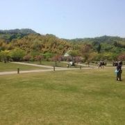 無料で広々とした芝生と自然を楽しめる癒しの公園