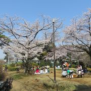 桜の名所？　桜はあまり多くない