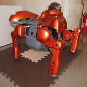 宗像の歴史＆なぜかロボット？