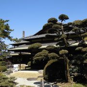 庭園を見ながら優雅にランチ