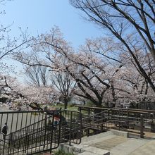 桜木町駅から、一番奥にある公園
