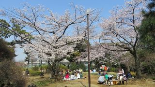 桜の名所？　桜はあまり多くない
