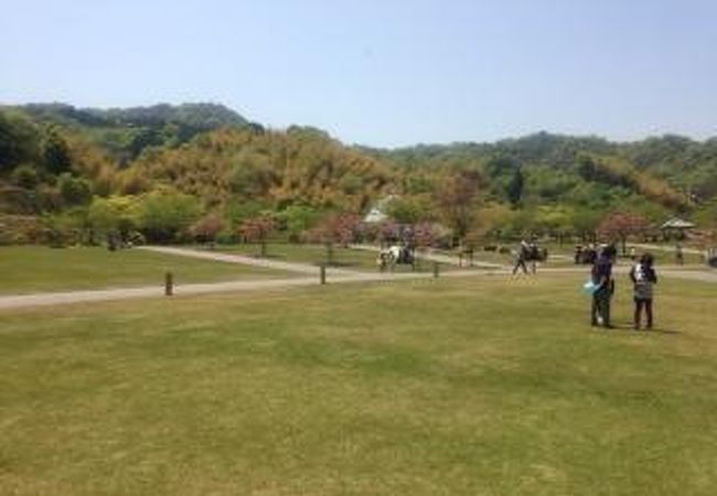 無料で広々とした芝生と自然を楽しめる癒しの公園