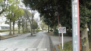 ミニSLやレンタサイクルがあります