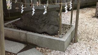 撫でに行きましょう