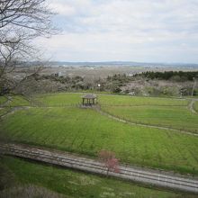 展望台からまだコスモスが咲かないコスモス園と大崎平野