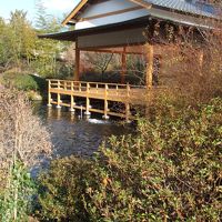 池に浮かぶ能楽堂