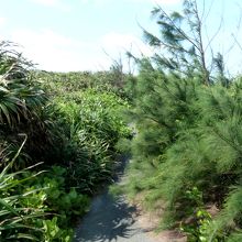 遊歩道がある