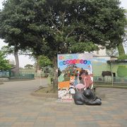 和歌山城観光の際に立ち寄りたい動物園
