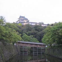 公園から望む和歌山城